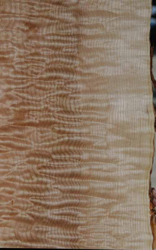 Fancy Quilted Maple Mini Slab