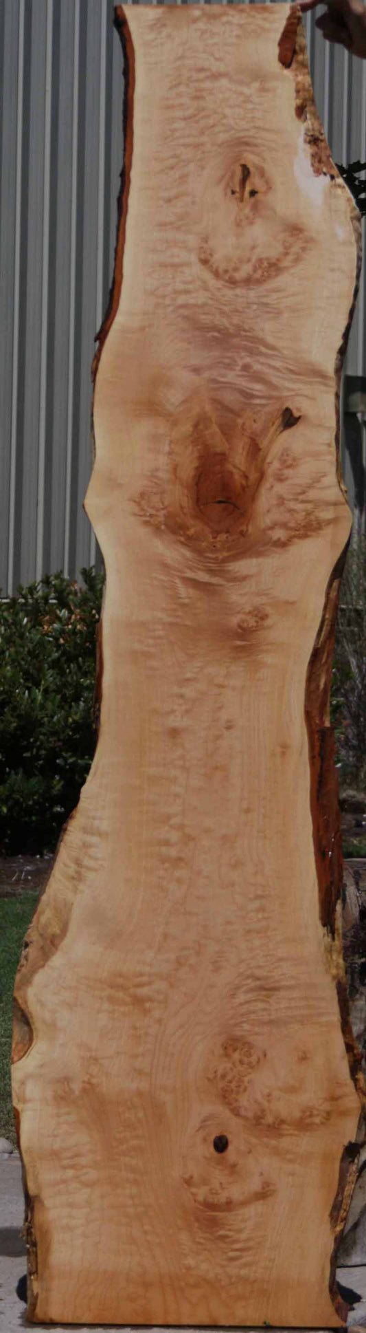 Figured Maple Lumber