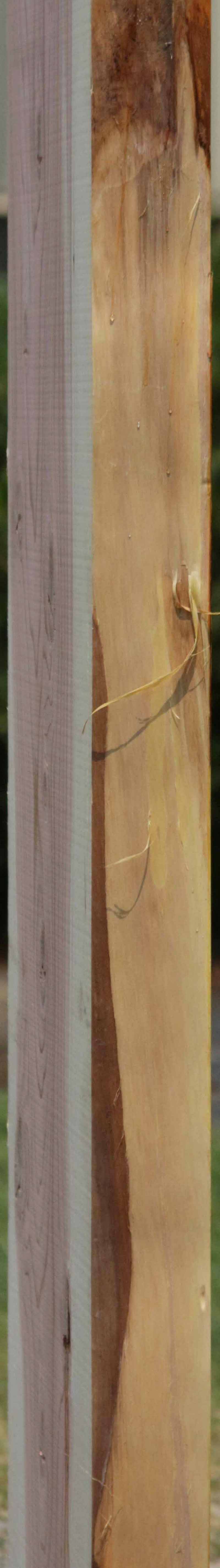 Knotty Sequoia Mantel