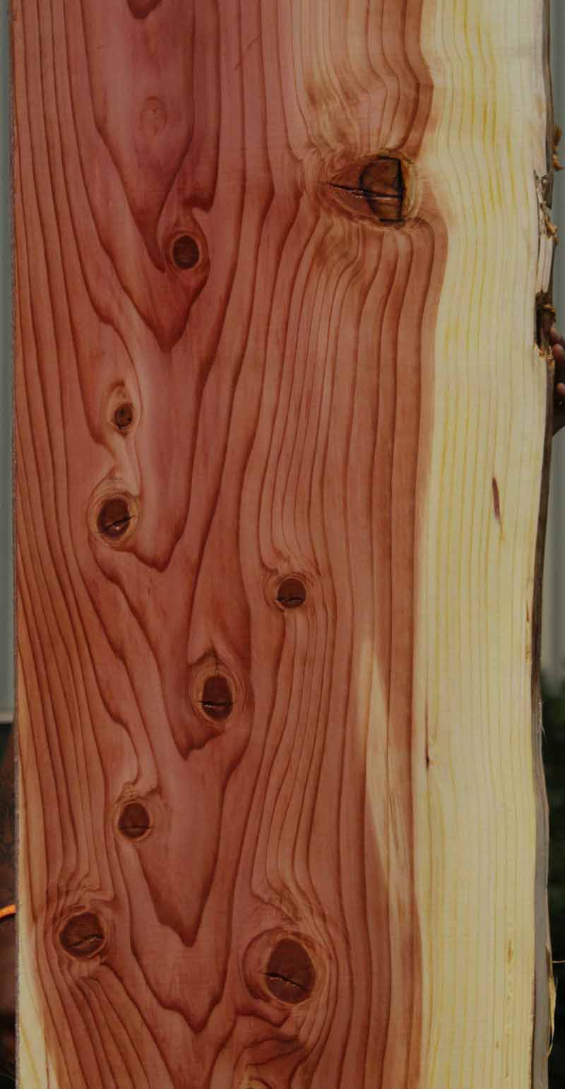Knotty Sequoia Mantel