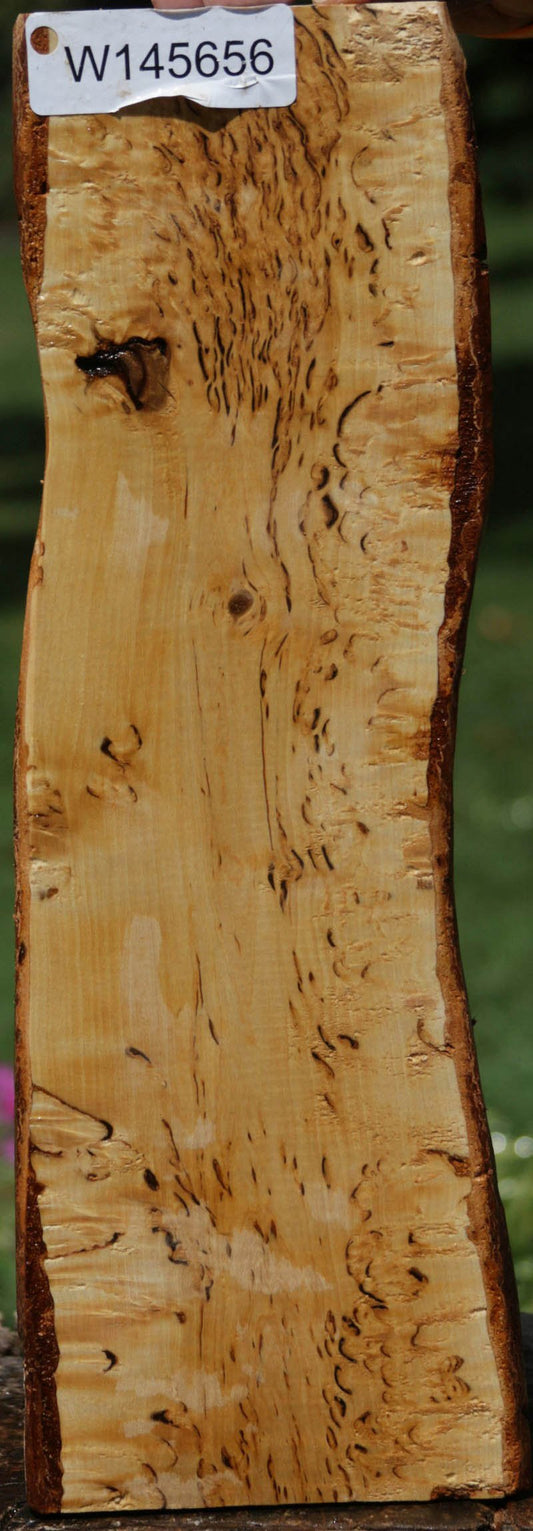 Masur Birch Lumber
