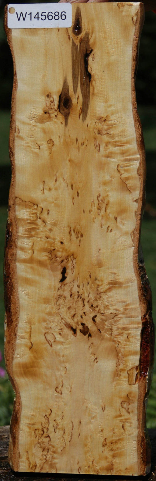 Masur Birch Lumber