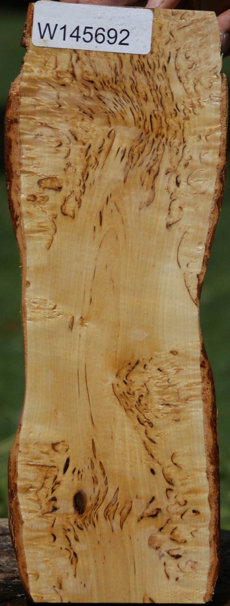 Masur Birch Lumber