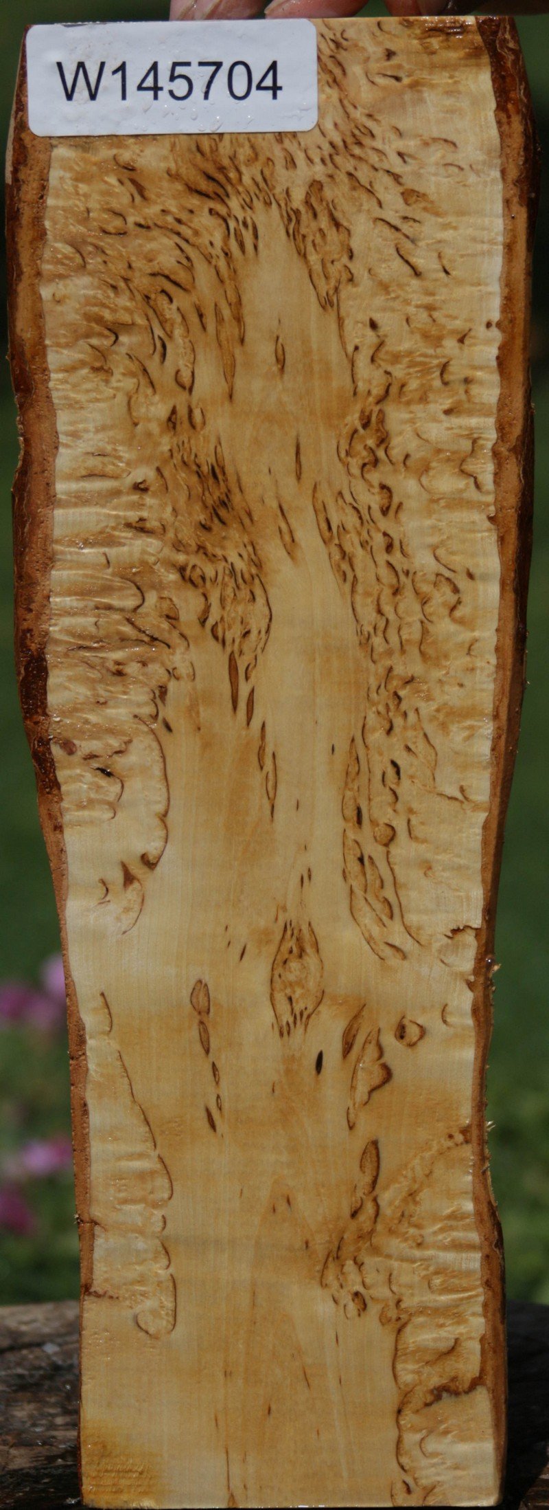 Masur Birch Lumber