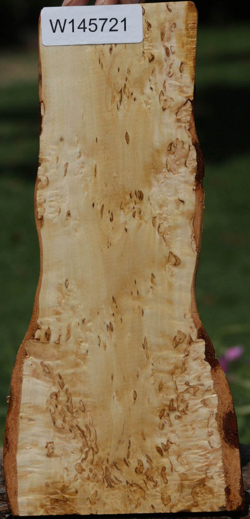 Masur Birch Lumber