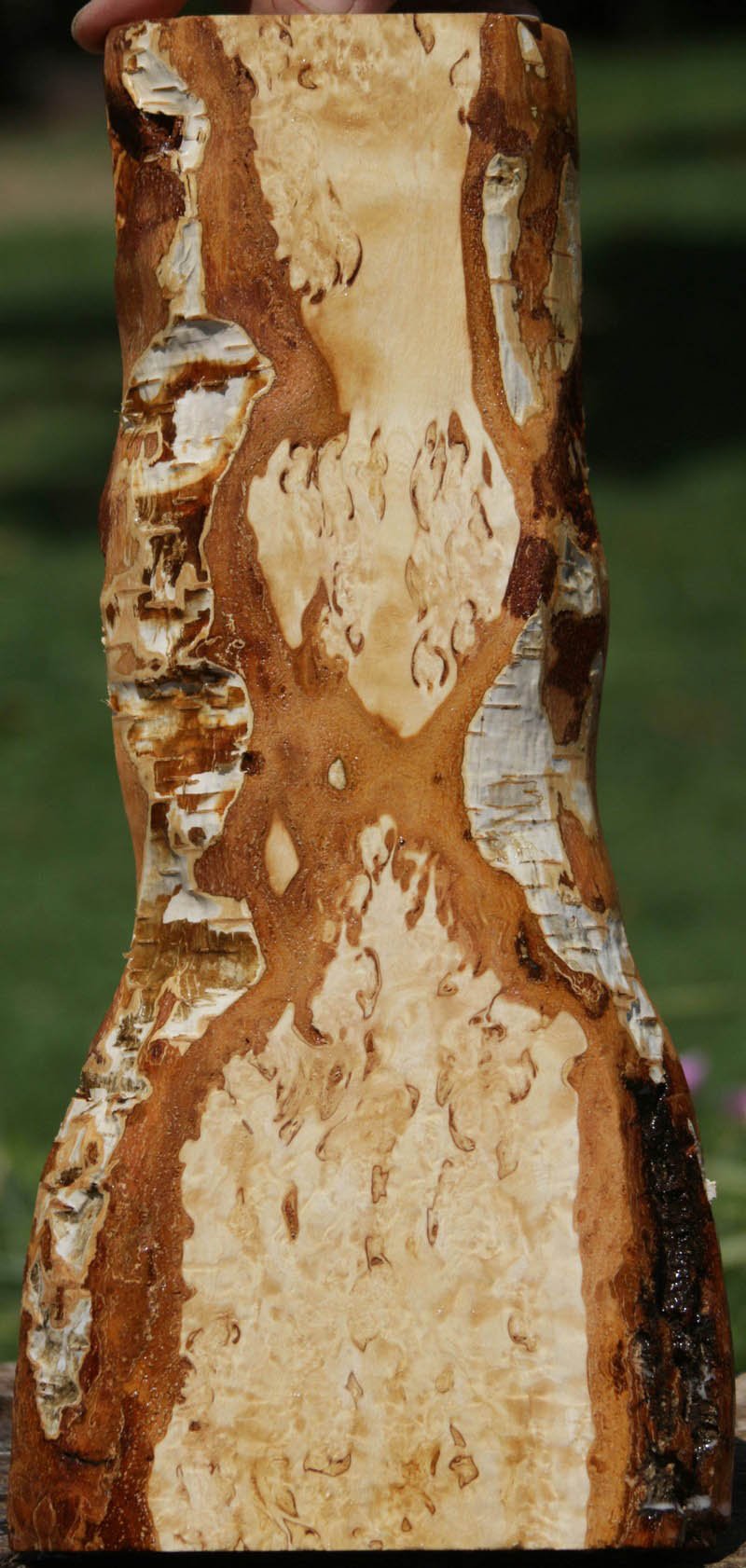 Masur Birch Lumber