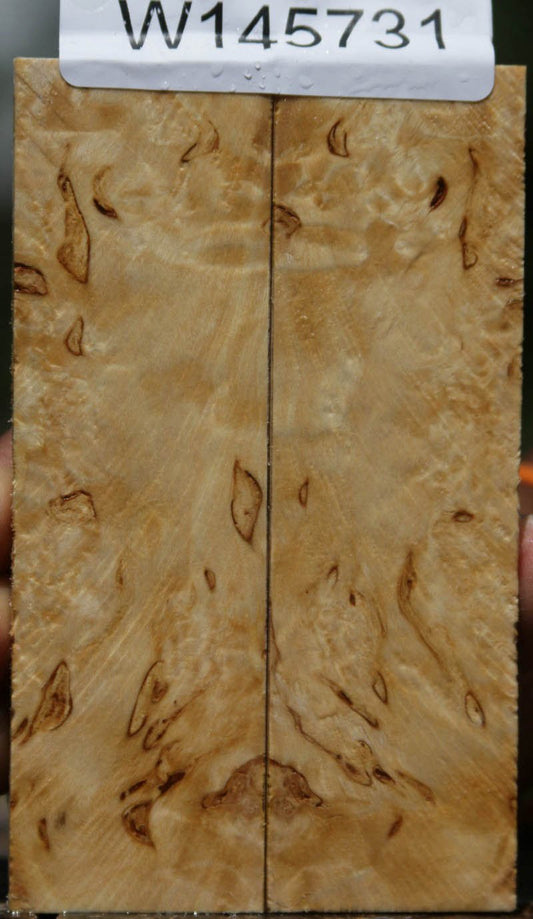 Masur Birch Knife Scales