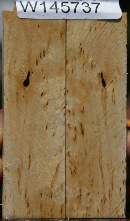 Masur Birch Knife Scales
