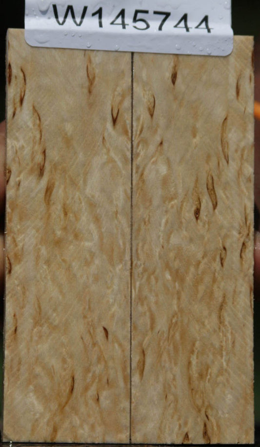 Masur Birch Knife Scales