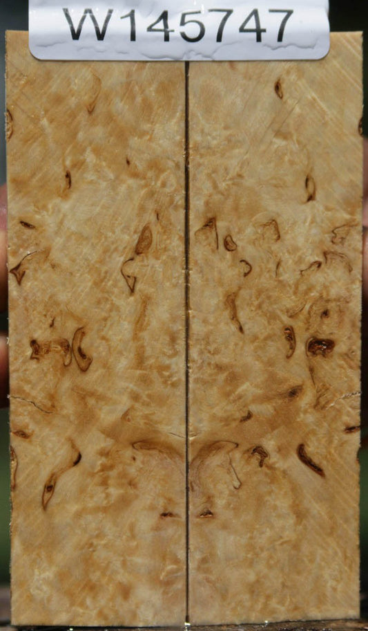 Masur Birch Knife Scales