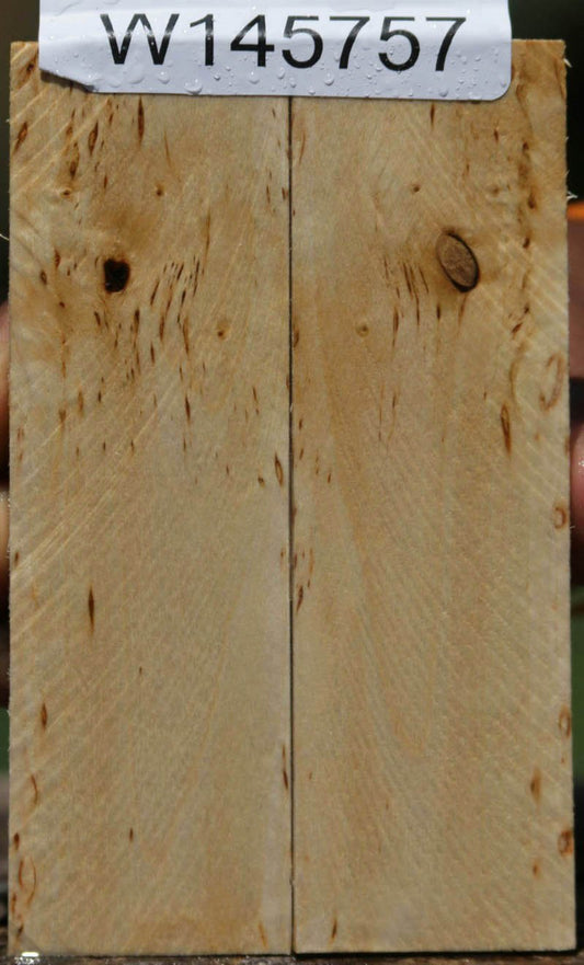 Masur Birch Knife Scales