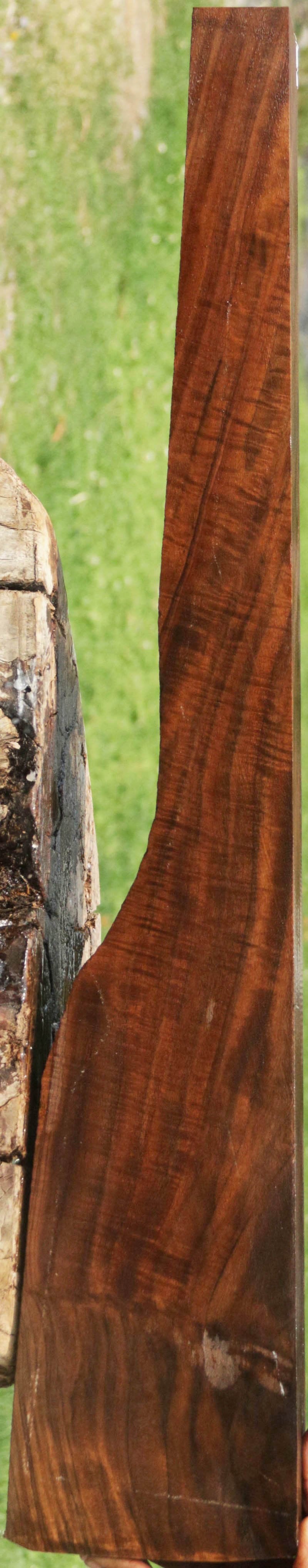 AAA+ Claro Walnut Gun Blank