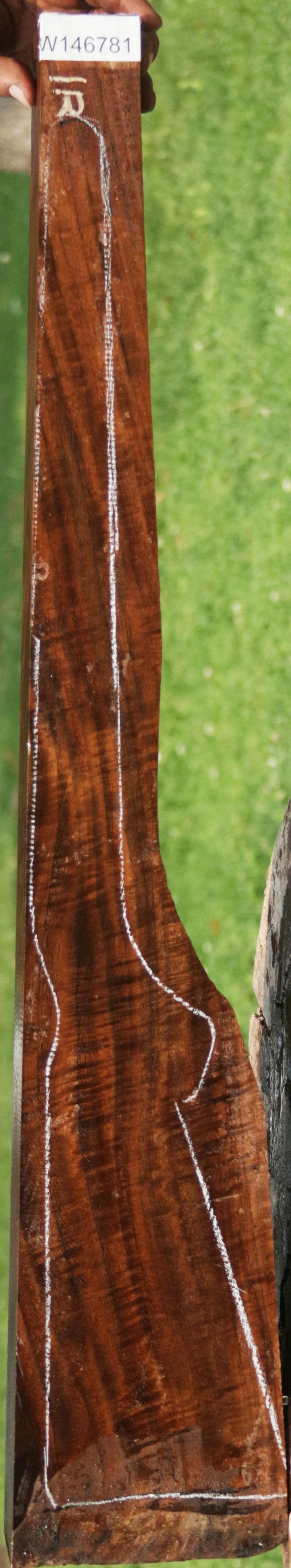 AAA+ Claro Walnut Gun Blank