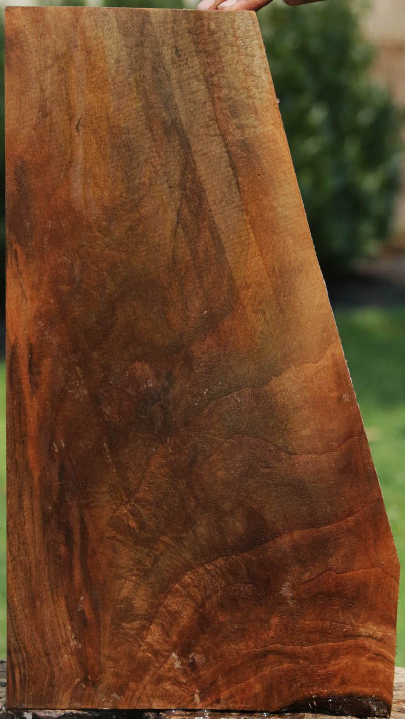 Exhibition Crotchwood Claro Walnut Gun Stock