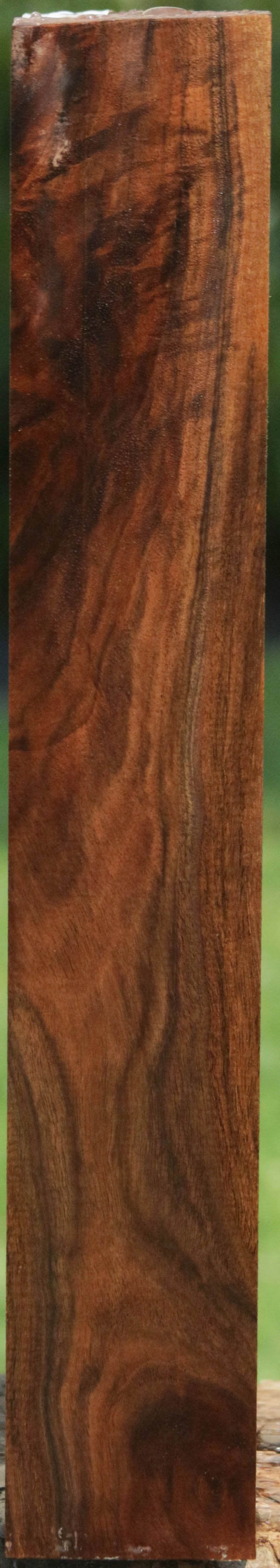 Exhibition Crotchwood Claro Walnut Gun Stock