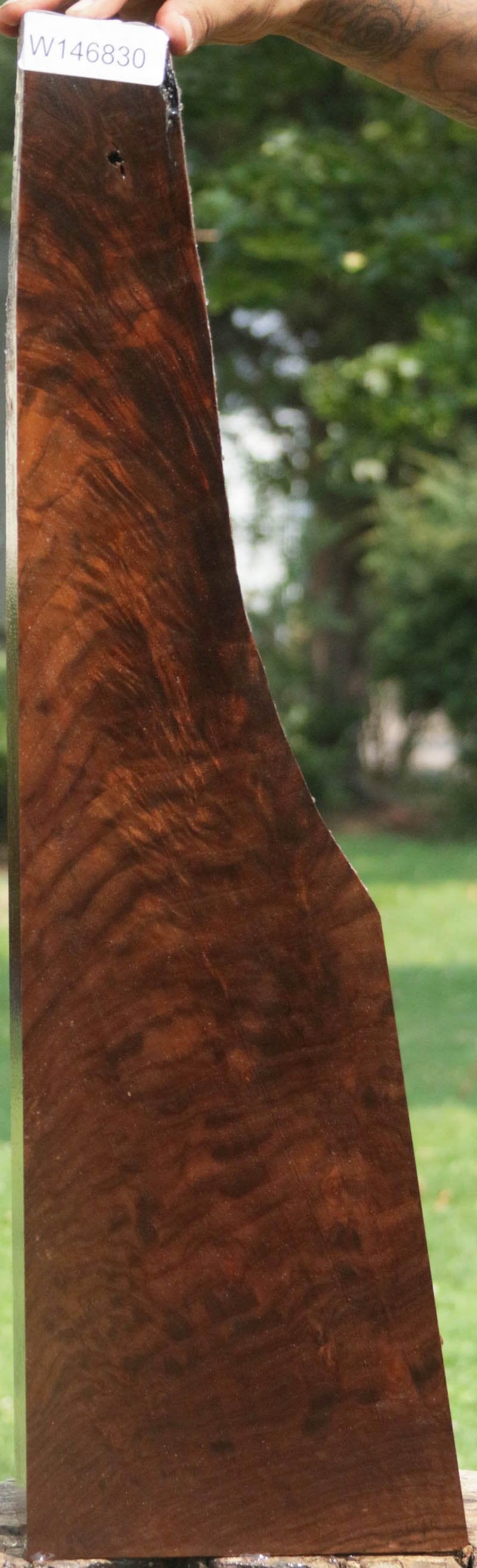Exhibition Crotchwood Claro Walnut Gun Blank