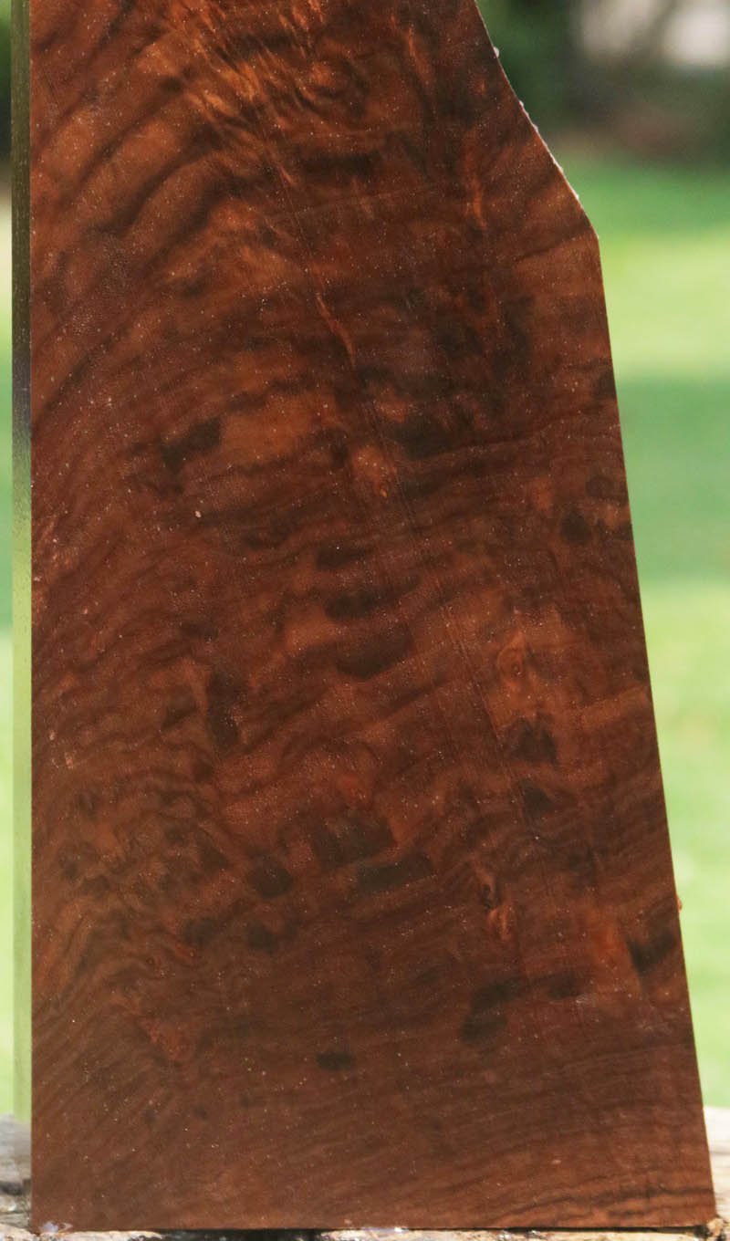 Exhibition Crotchwood Claro Walnut Gun Blank