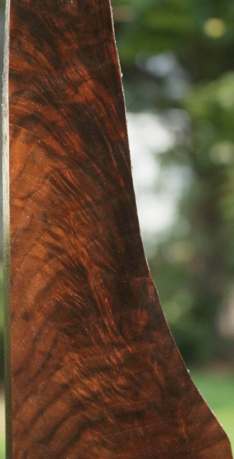 Exhibition Crotchwood Claro Walnut Gun Blank