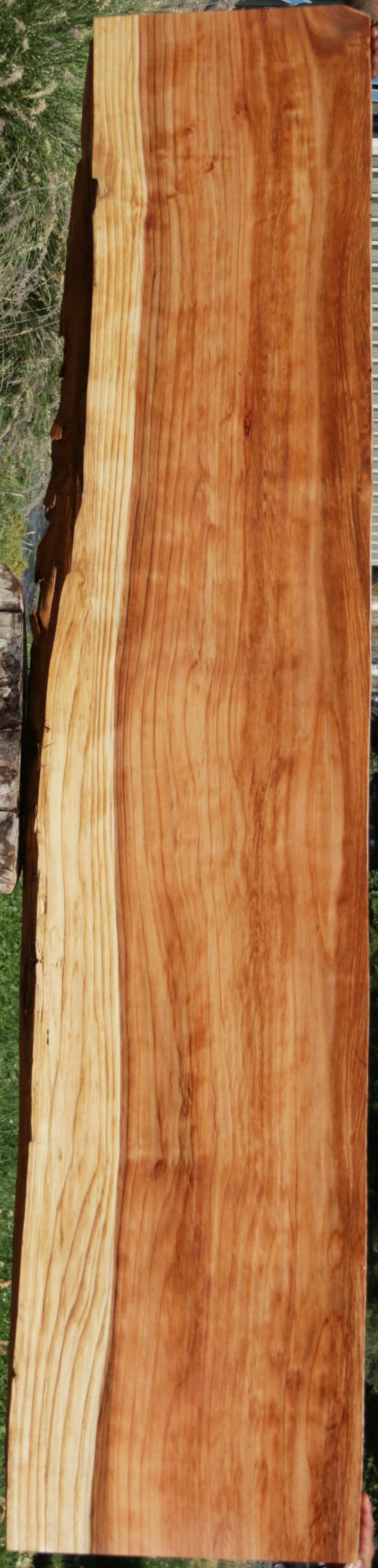 Redbud Slab Redwood Slab – Cook Woods