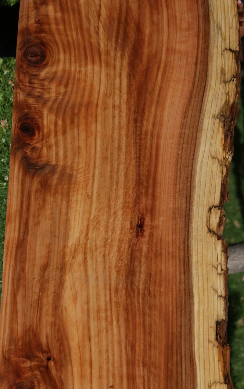 Redwood Slab