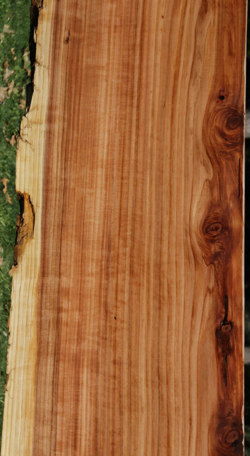 Redwood Slab
