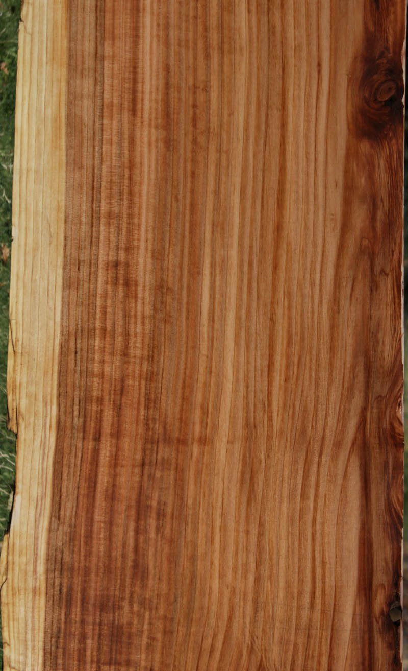 Redwood Slab