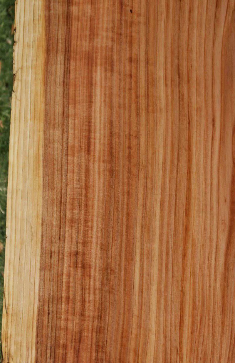Redwood Slab