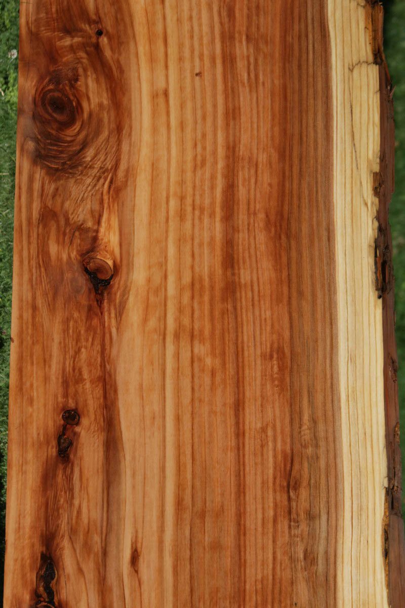 Redwood Slab
