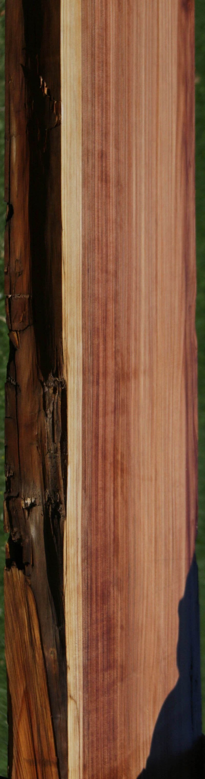 Redbud Slab Redwood Slab – Cook Woods