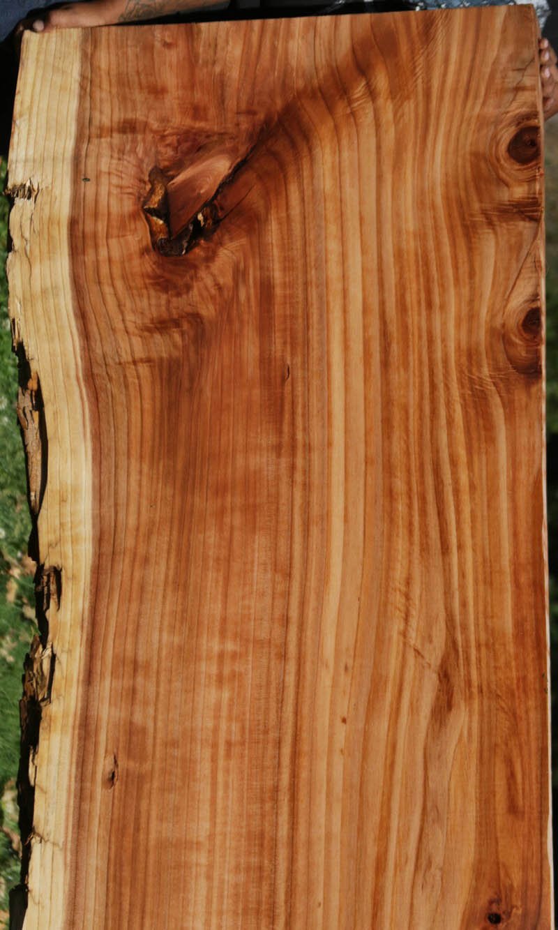 Redwood Slab