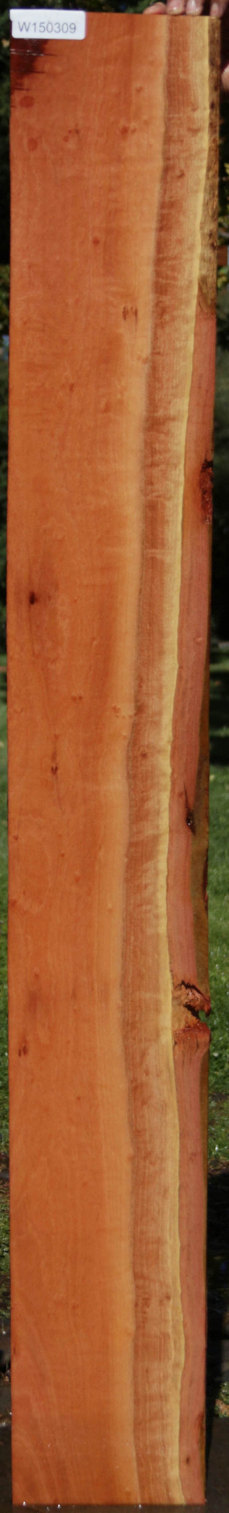 Red Gum Micro Lumber