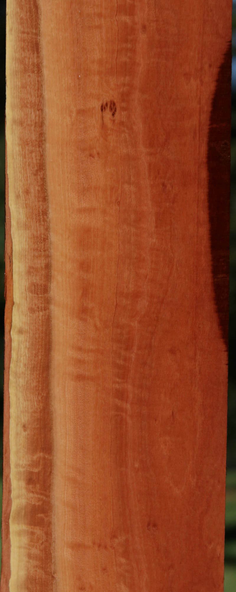 Red Gum Micro Lumber