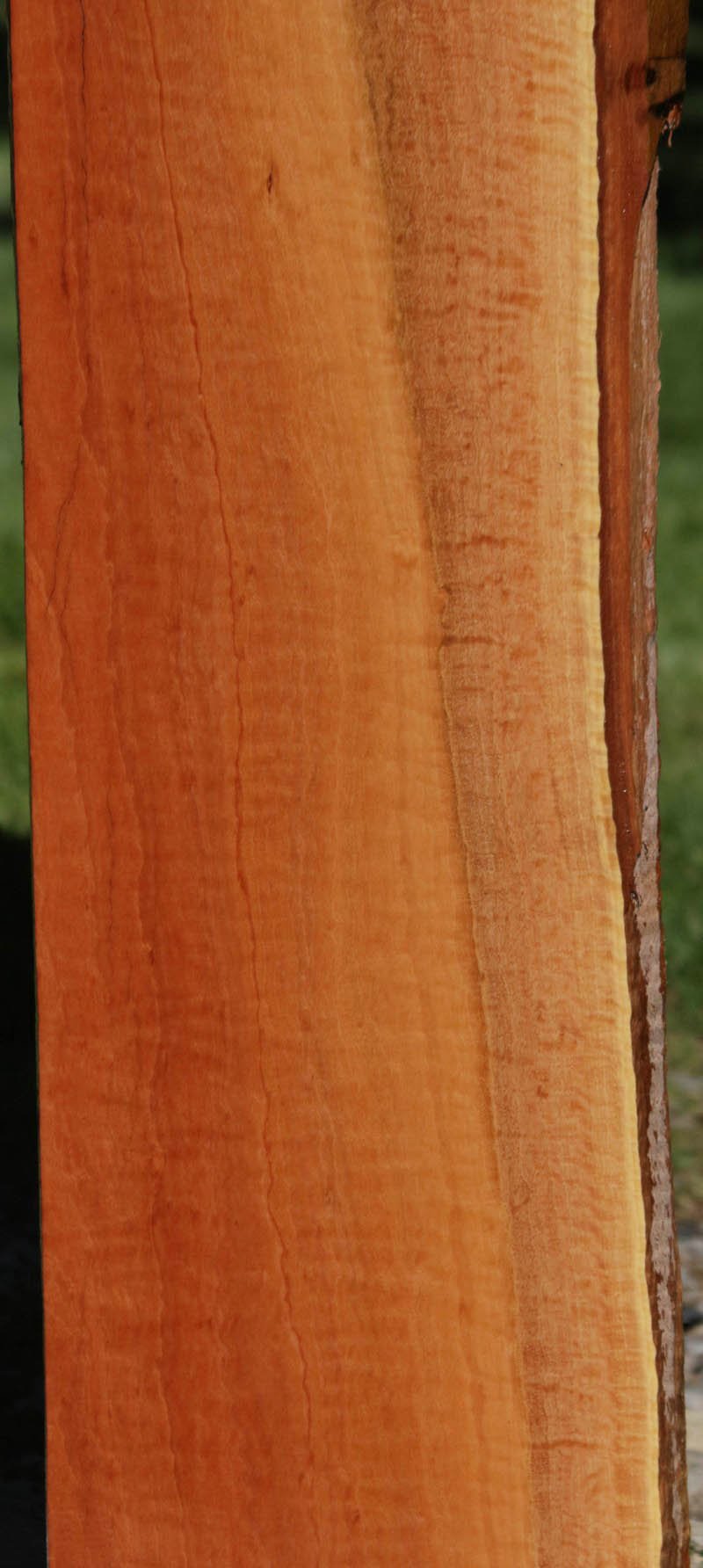 Red Gum Lumber