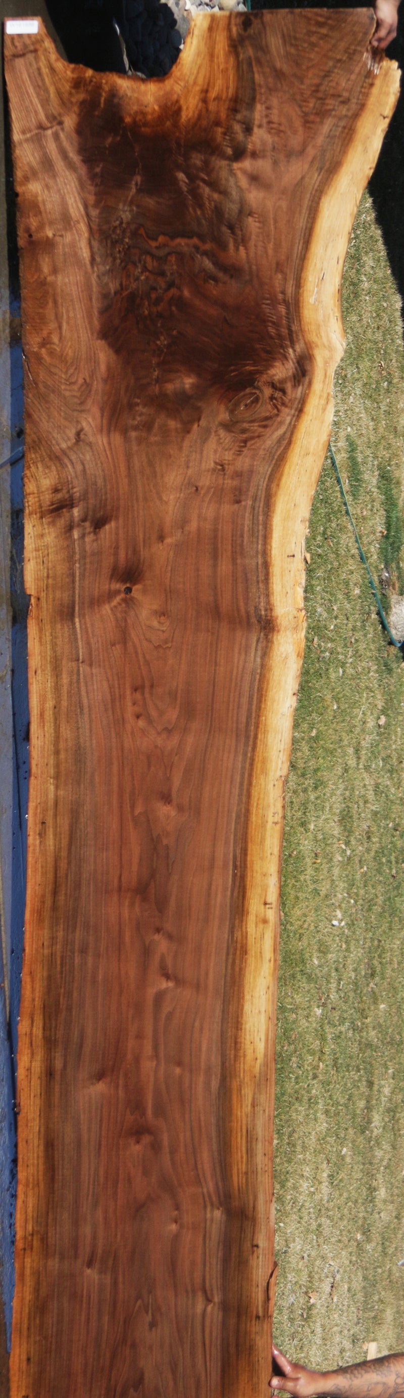 Claro Walnut Crotchwood Slab