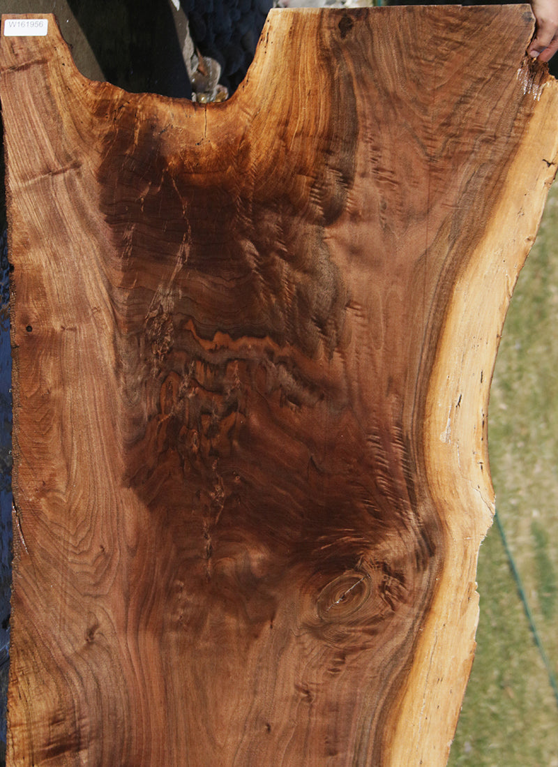 Claro Walnut Crotchwood Slab