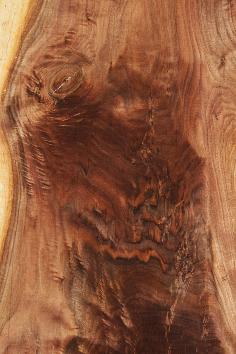 Claro Walnut Crotchwood Slab