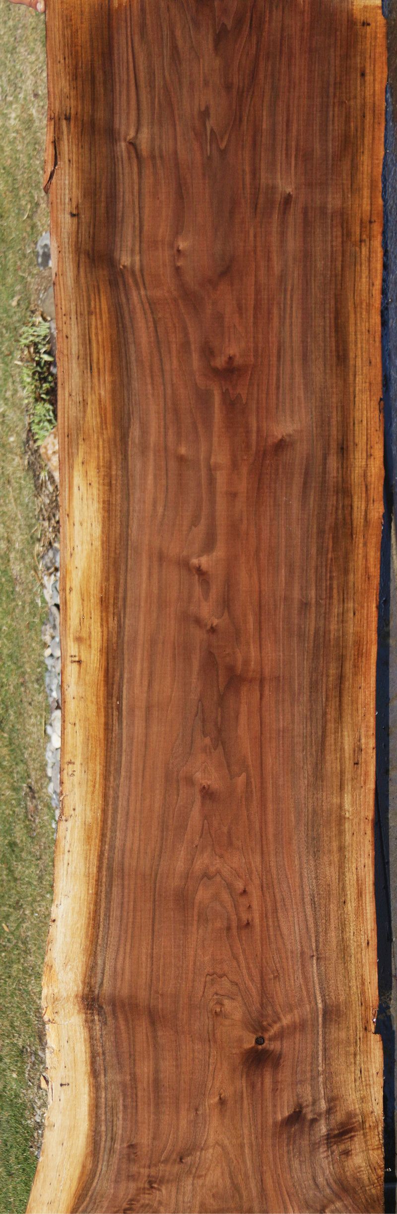 Claro Walnut Crotchwood Slab