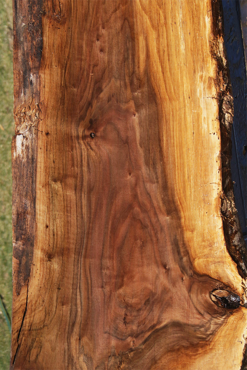 Claro Walnut Crotchwood Slab