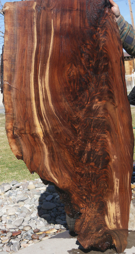 Claro Walnut Slab (Free Shipping Excluded)