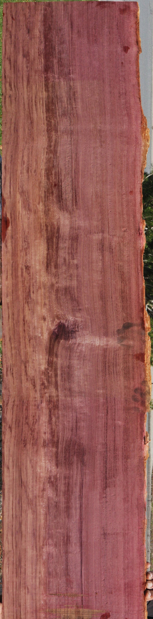 Live Edge Purpleheart Lumber