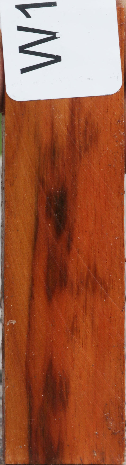 Striped Snakewood Micro Lumber