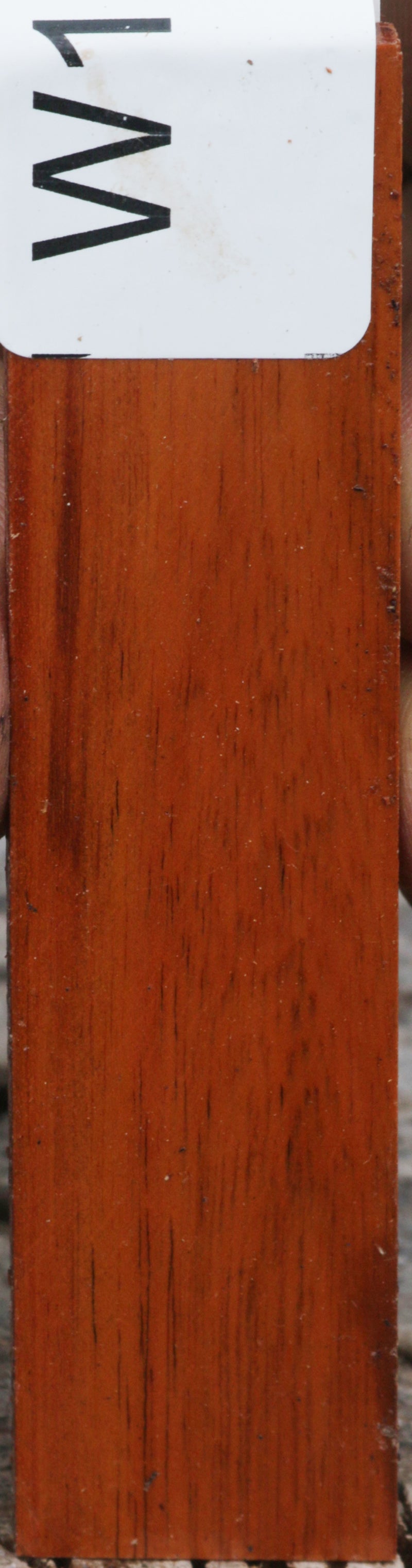 Striped Snakewood Micro Lumber