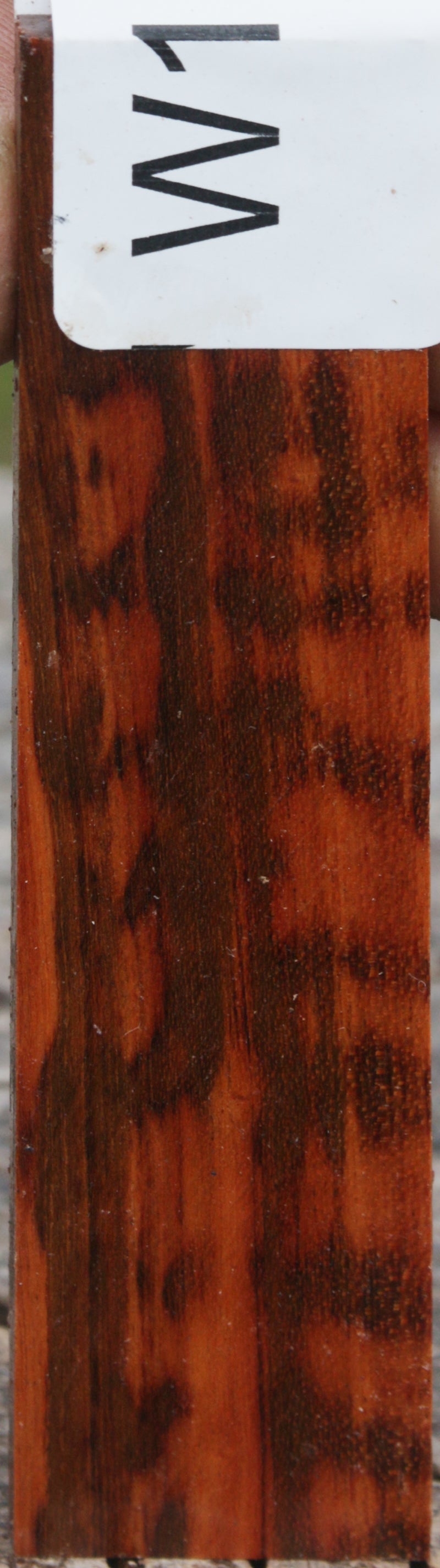 Extra Fancy Snakewood Micro Lumber