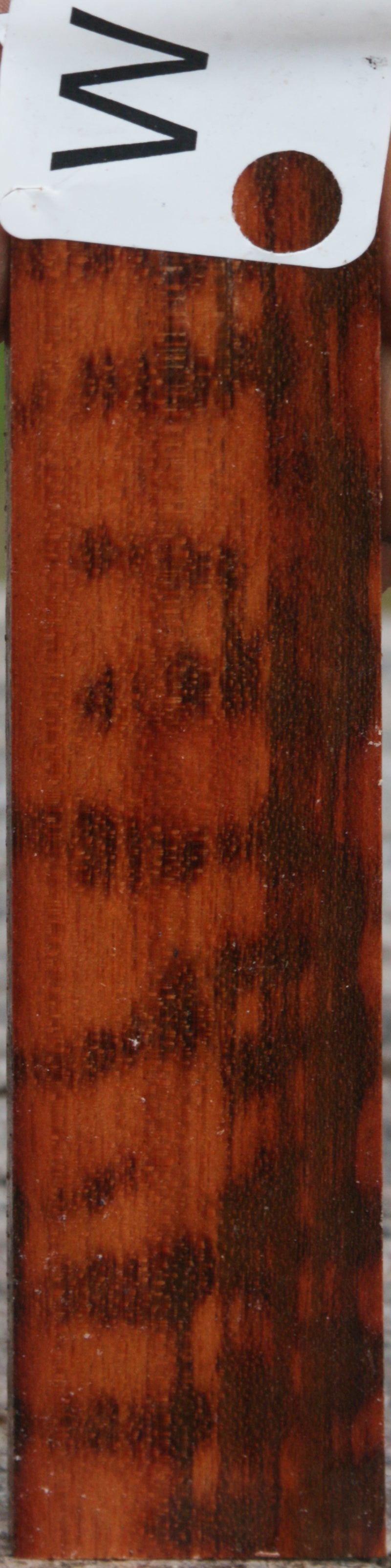 Snakewood Micro Lumber