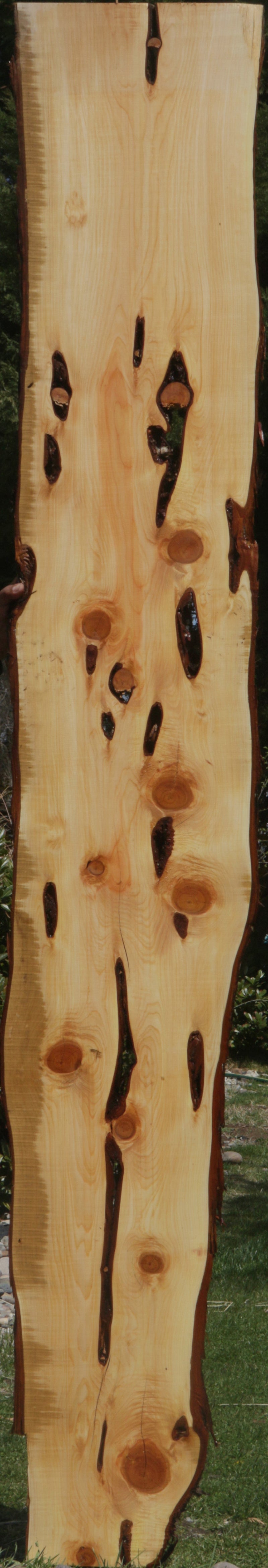 Rustic Knotty Juniper Lumber