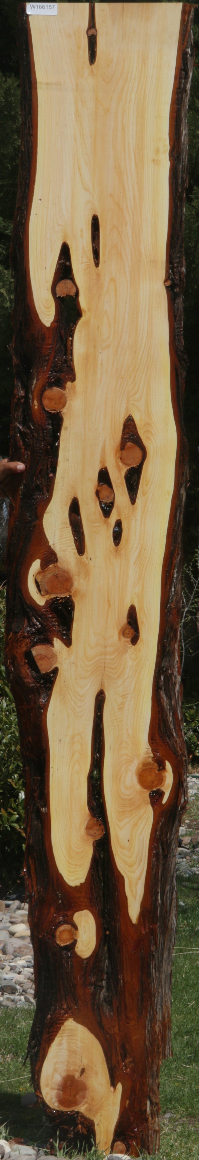 Rustic Knotty Juniper Lumber