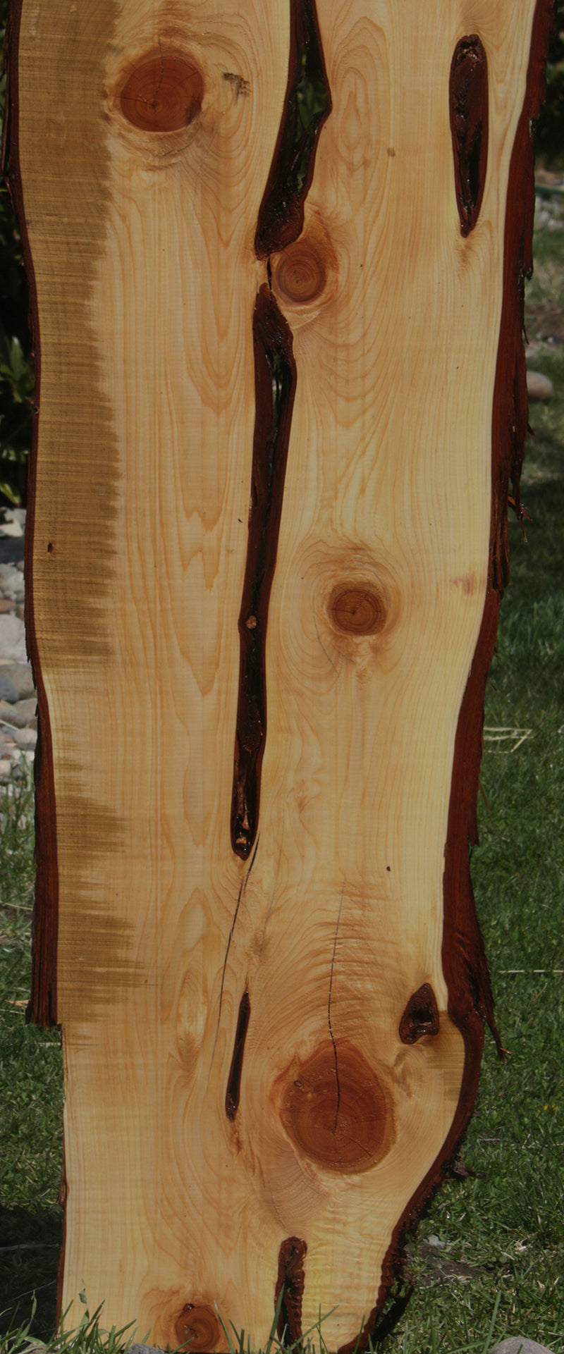 Rustic Knotty Juniper Lumber