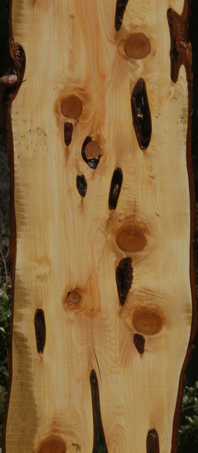 Rustic Knotty Juniper Lumber