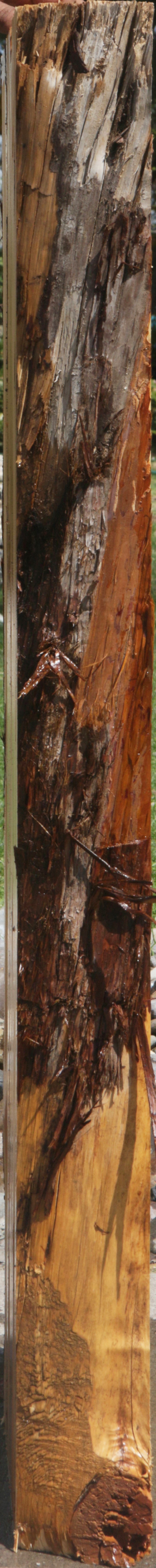 Rustic Juniper Live Edge Lumber