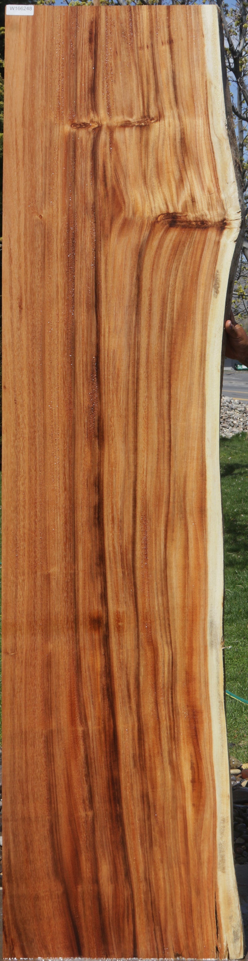 Rustic Monkeypod Live Edge Slab